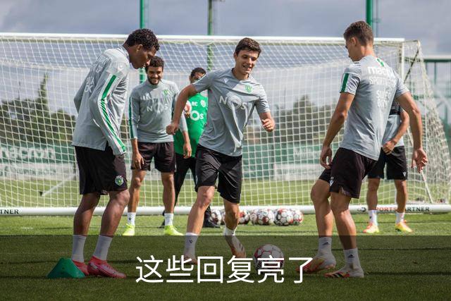 这些回复亮了